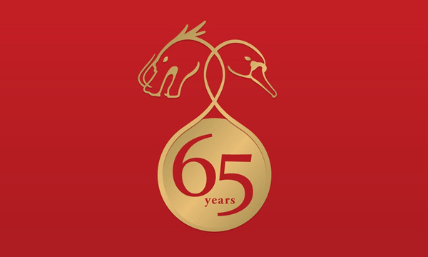 china-denmark-65years-logo-2