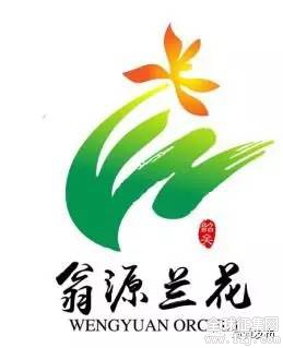 翁源兰花logo图片