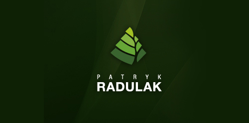 33Լĳ˾Logo